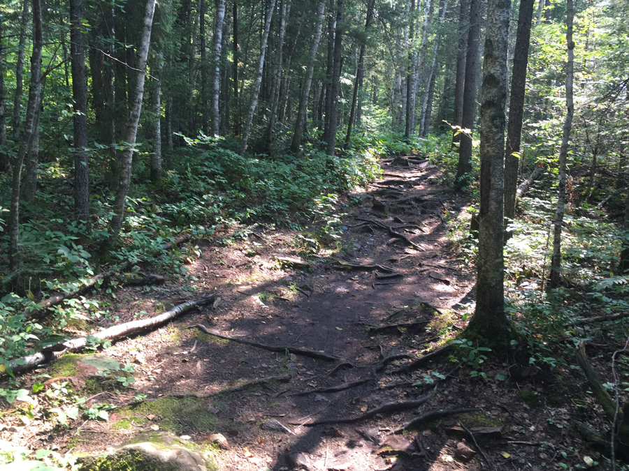 Eagle Mountain Trail Minnesota